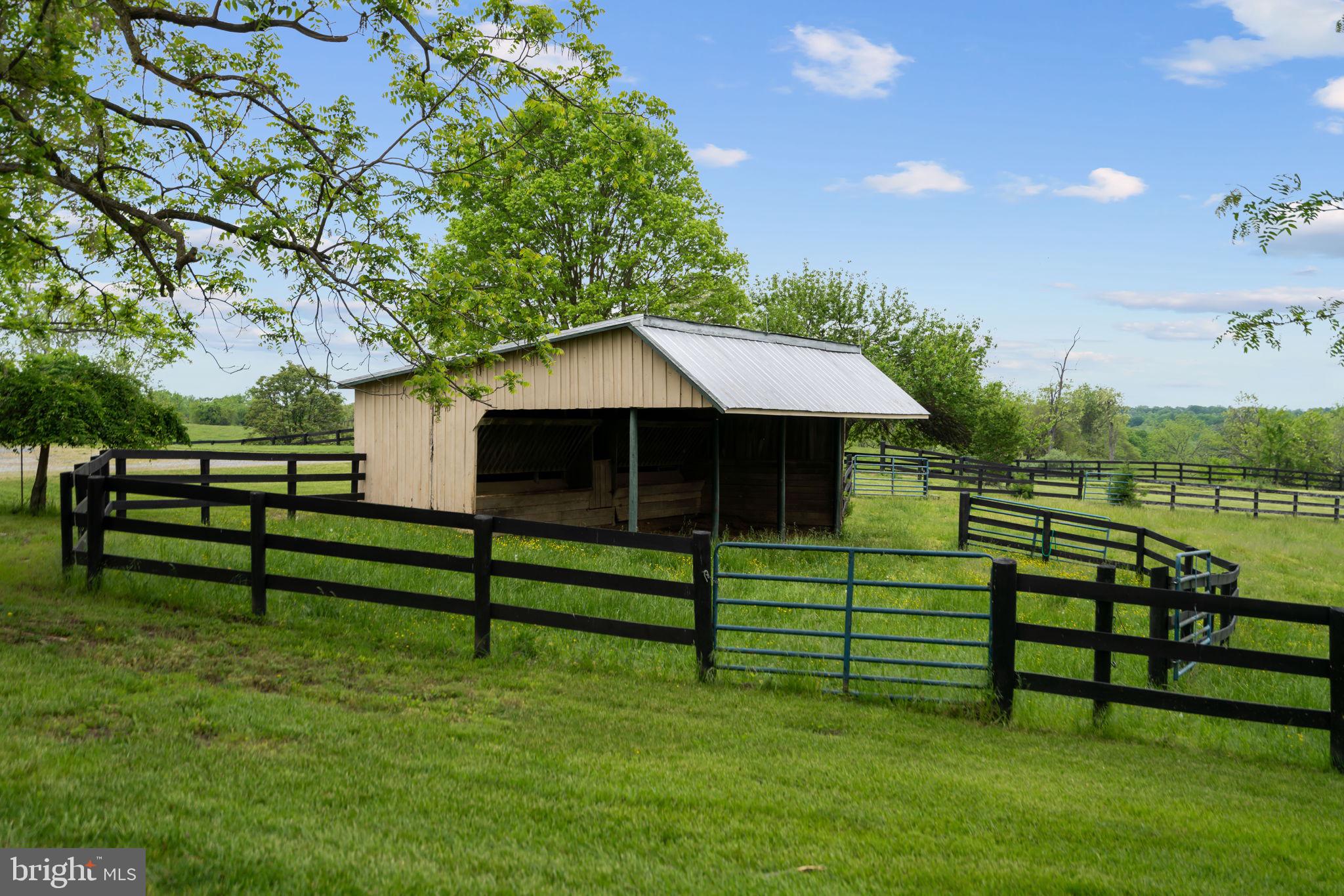 1600 Briggs Road Berryville, VA 22611 - Photo 30 of 38 Multiple run-in sheds