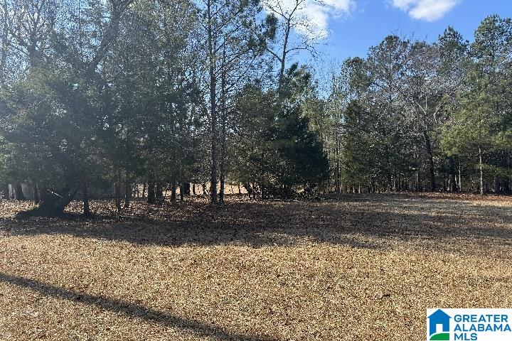 1036 Rushing Springs Road Lincoln, AL 35096 - Photo 4 of 58