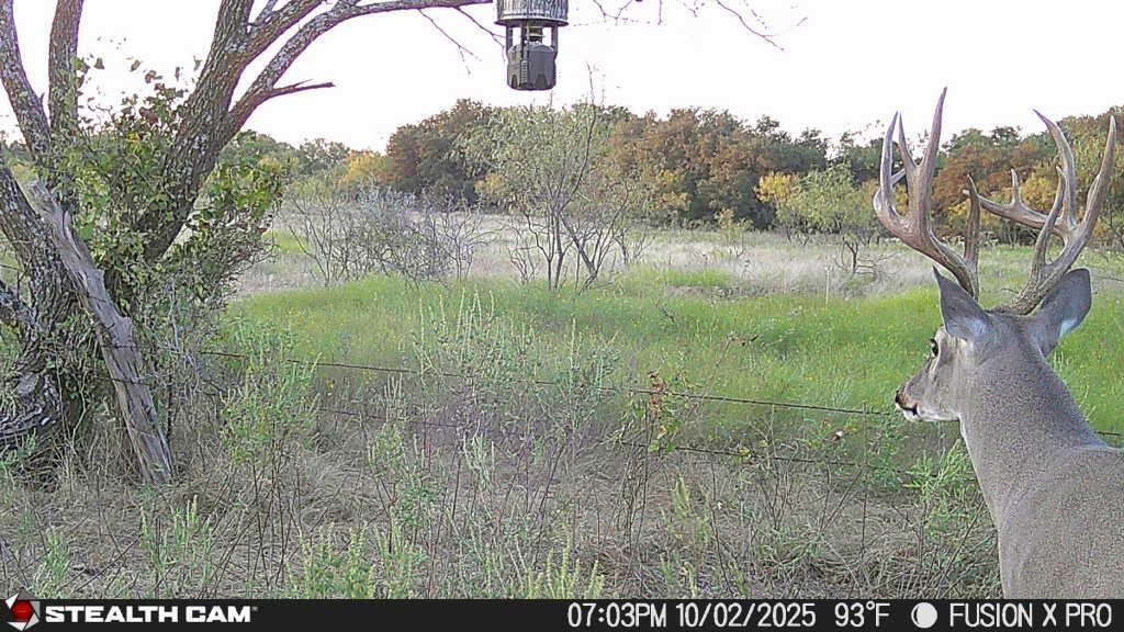 1467 S South Zephyr, TX 76890 - Photo 12 of 12 a view of a green field