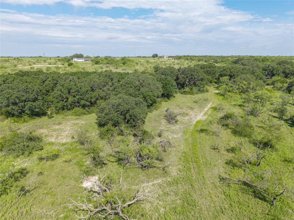 1467 S South Zephyr, TX 76890 - Photo 6 of 12 a view of a large yard with lots of green space