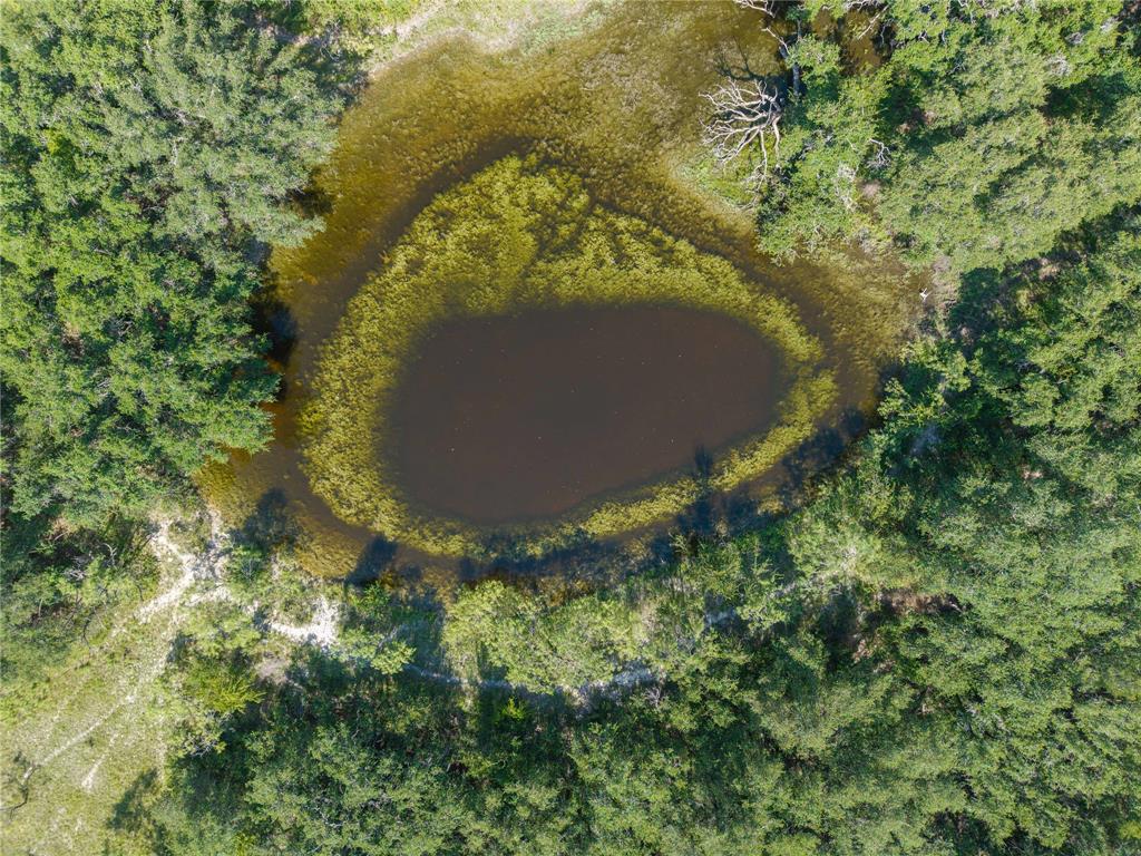1467 S South Zephyr, TX 76890 - Photo 9 of 12 a view of outdoor space and a yard