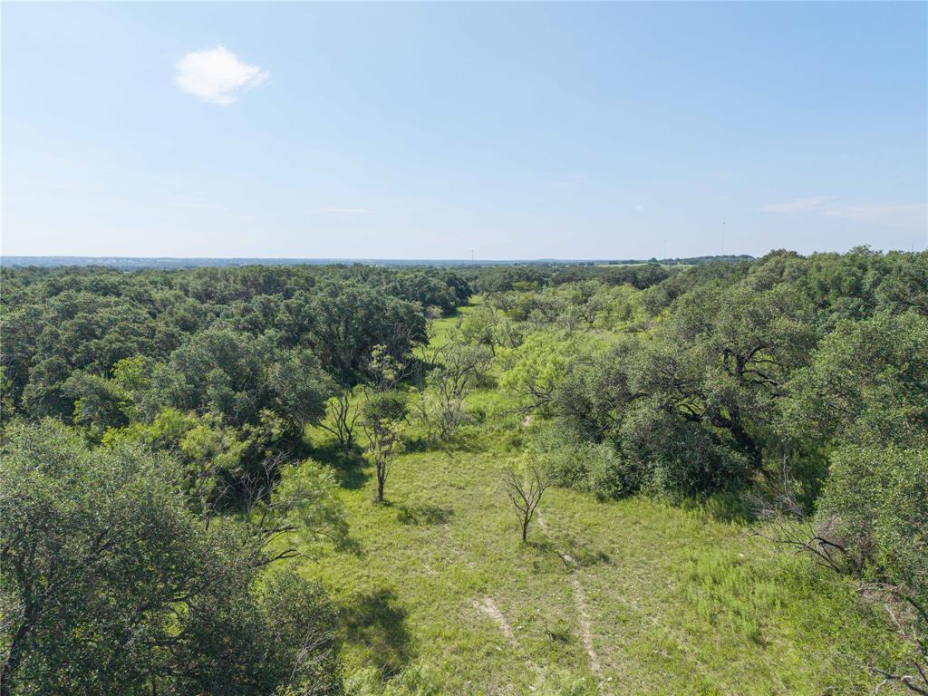 1467 S South Zephyr, TX 76890 - Photo 10 of 12 a view of a green field