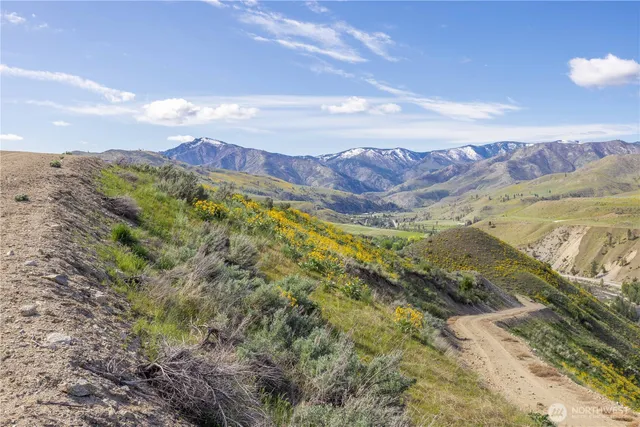 a view of a sky from a yard
