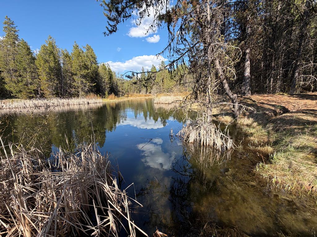 211 Pointes Road, Unit 26 Cascade, ID 83611 - Photo 4 of 22 Bring Your Fishing Pole