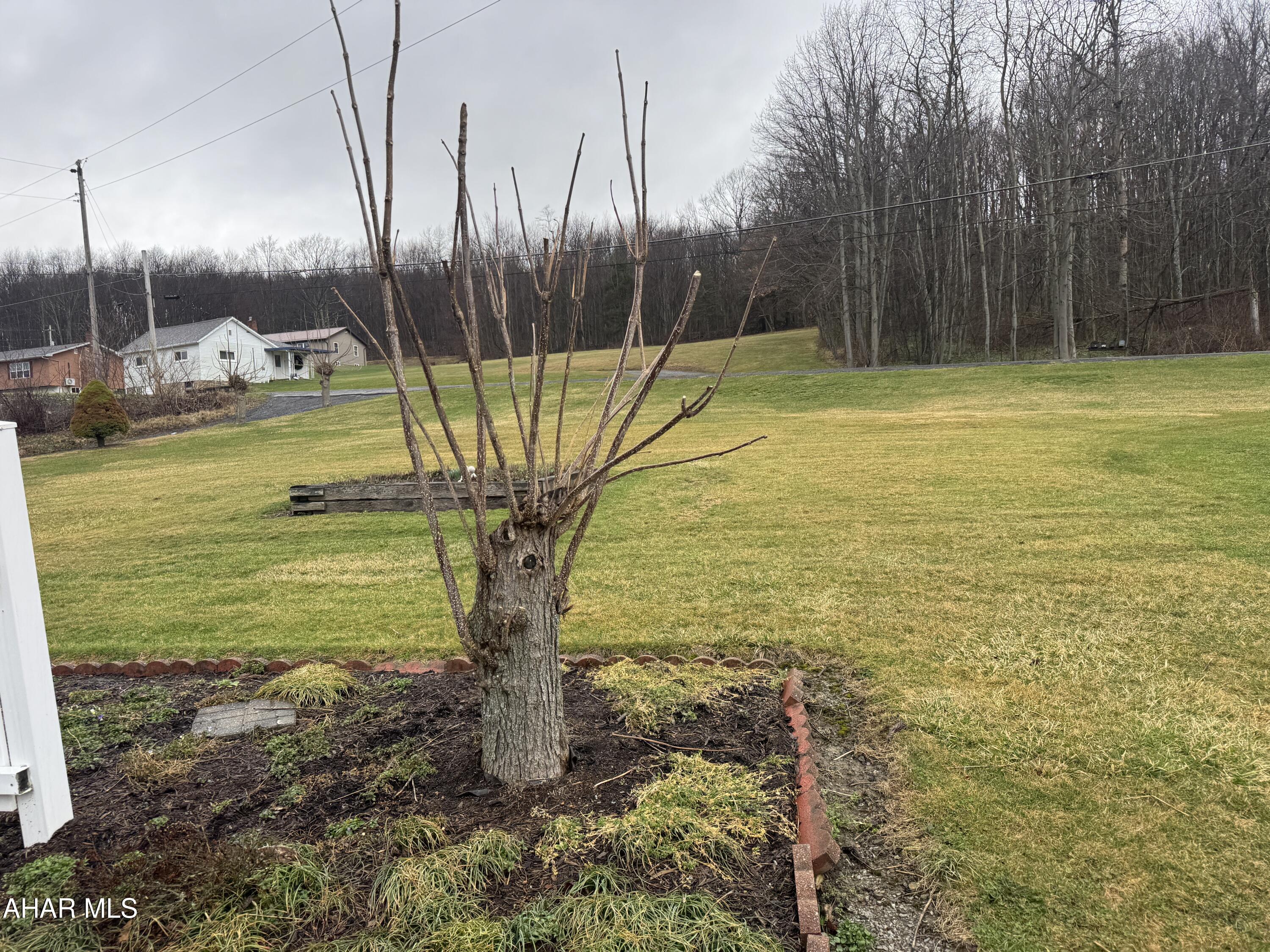 1403 Magee Road Patton, PA 16668 - Photo 7 of 19