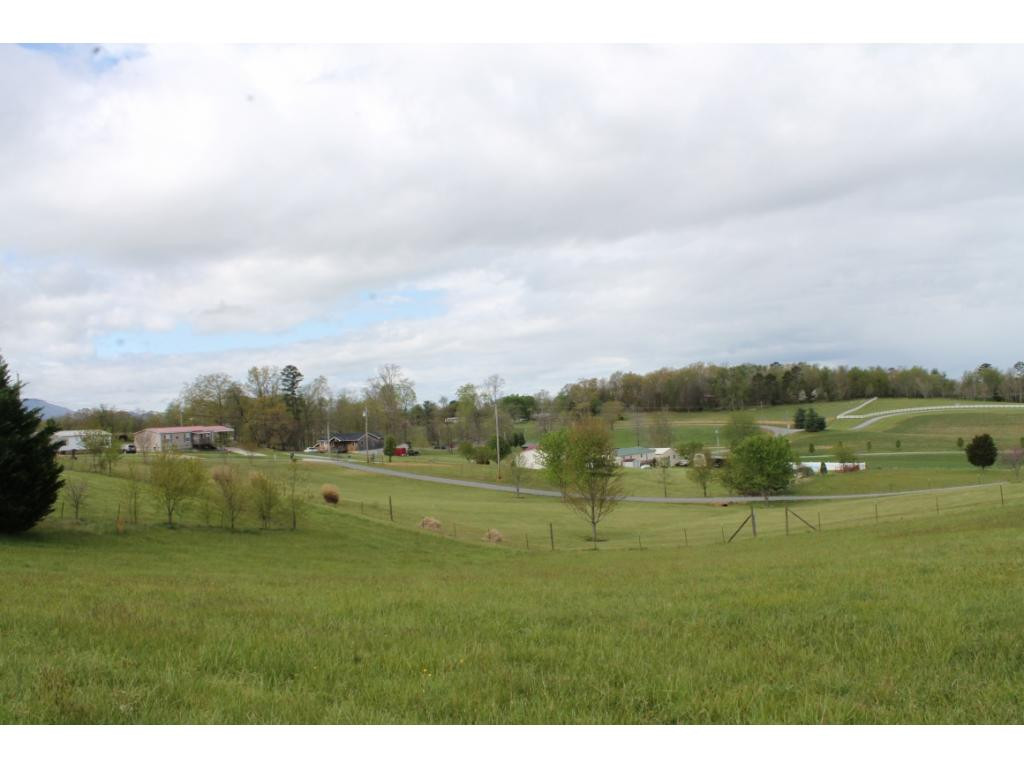 665 Barren Valley Road Chuckey, TN 37641 - Photo 3 of 11 Photo 3