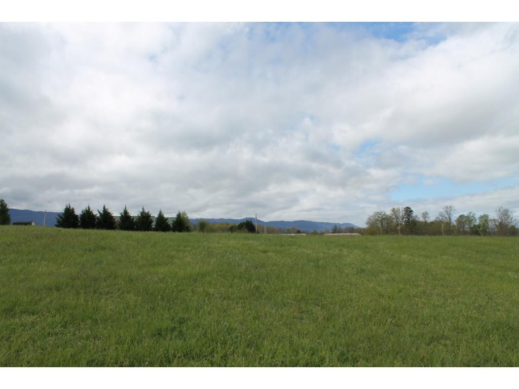 665 Barren Valley Road Chuckey, TN 37641 - Photo 6 of 11 Photo 6