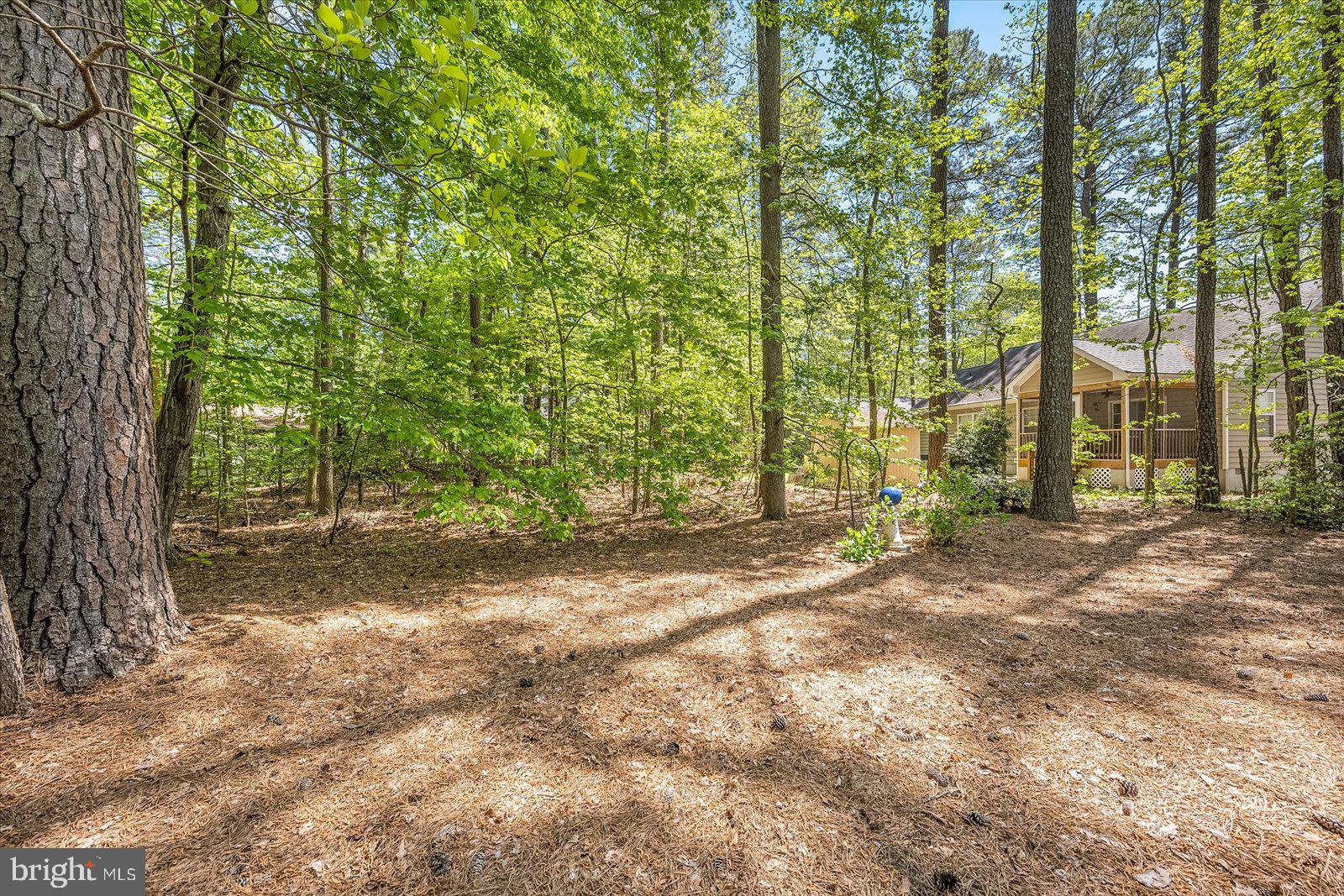 51 King Richard Road Berlin, MD 21811 - Photo 36 of 49