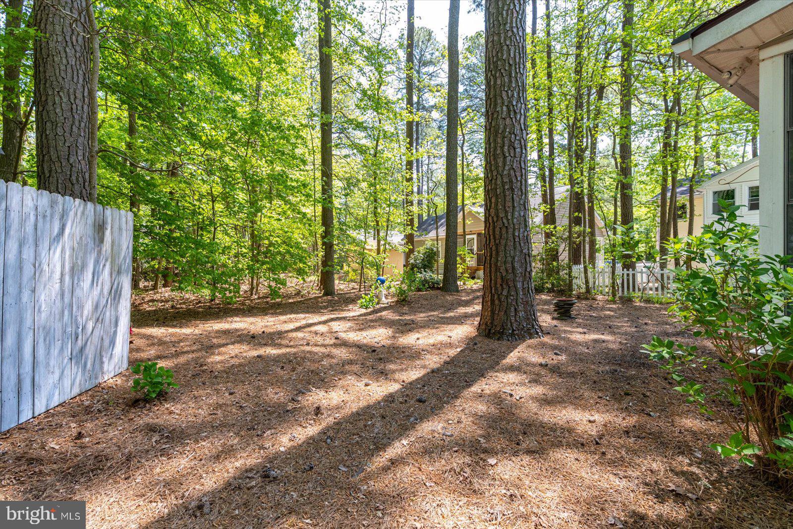 51 King Richard Road Berlin, MD 21811 - Photo 40 of 49