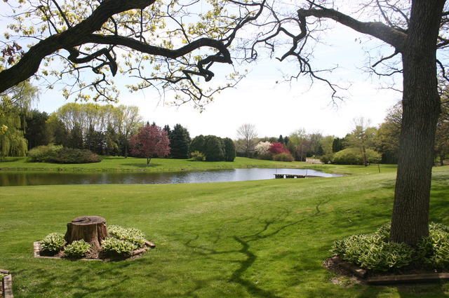 18116 Lincoln Road Harvard, IL 60033 - Photo 5 of 15