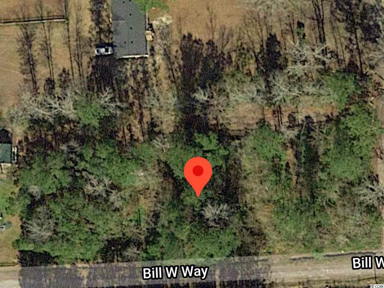 111 Bill W Way Longs, SC 29568 - Photo 1 of 3 Gallery Image 1