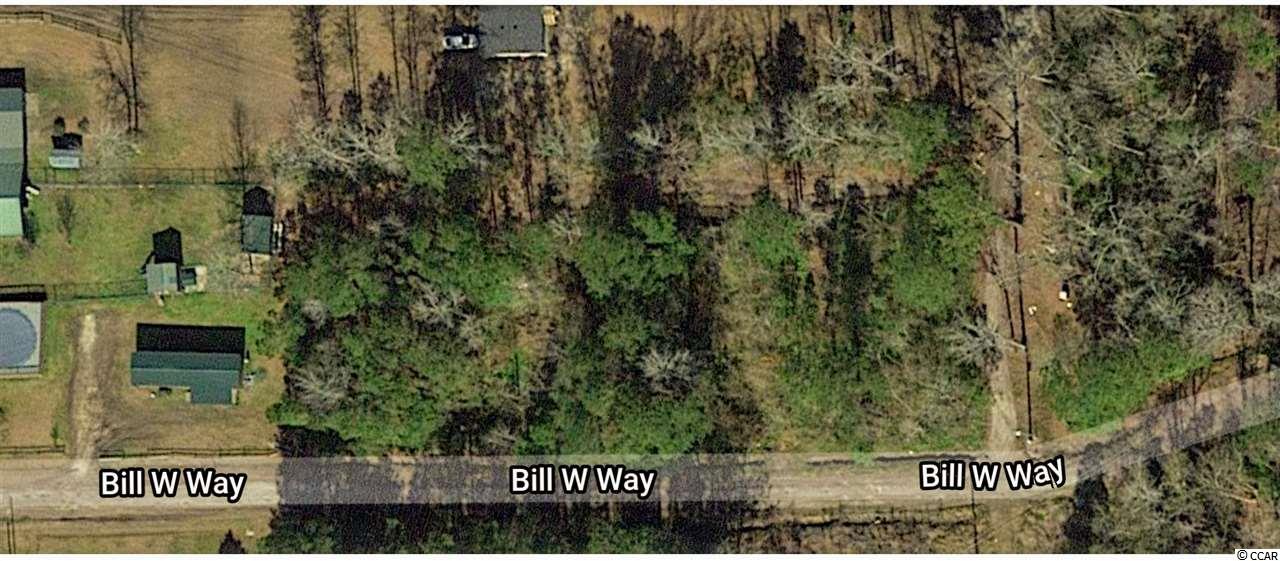 111 Bill W Way Longs, SC 29568 - Photo 2 of 3 Gallery Image 2