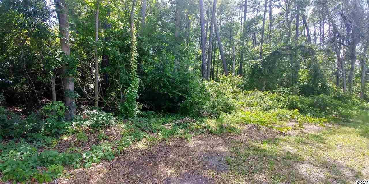 111 Bill W Way Longs, SC 29568 - Photo 3 of 3 Gallery Image 3