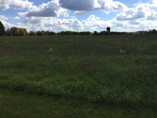 8043 South Rolland Road Blanchard, MI 49310 - Photo 20 of 23 1807562-19.JPG