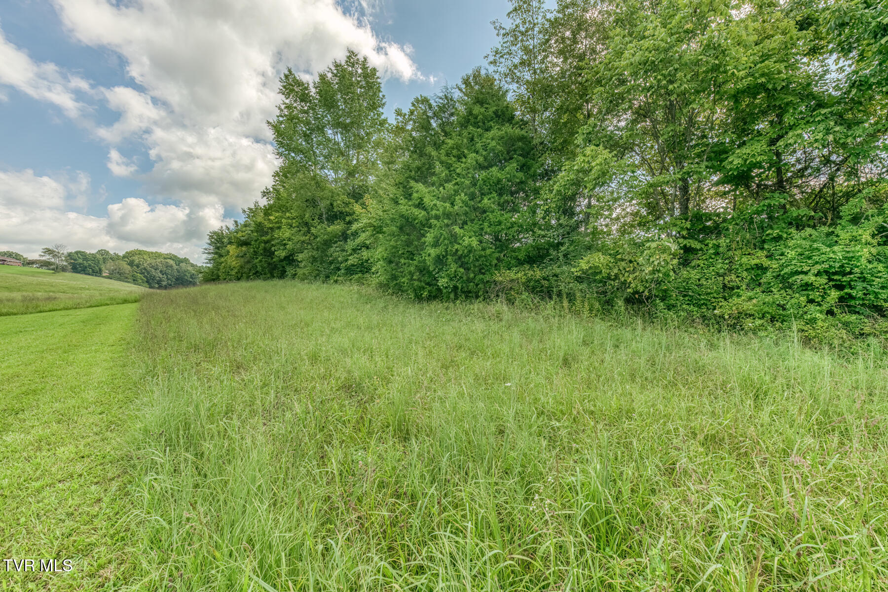 Tbd Stewart Road Chuckey, TN 37641 - Photo 21 of 22 TBD Stewart Rd-21