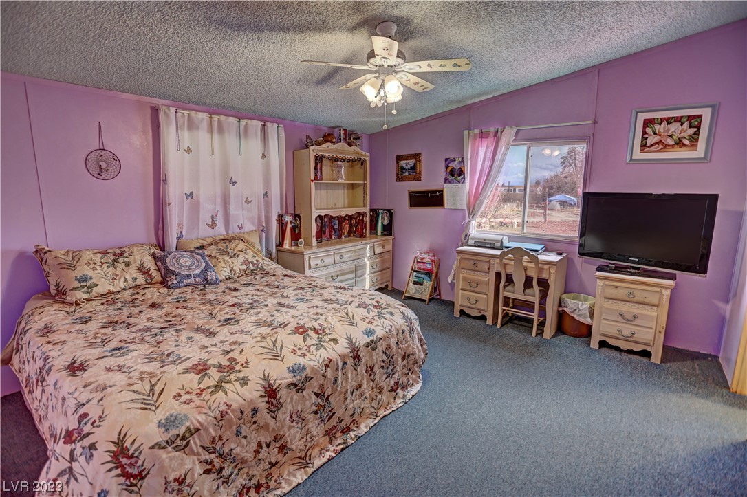 3981 West Dyer Road Pahrump, NV 89048 - Photo 27 of 48 Gallery Image 27