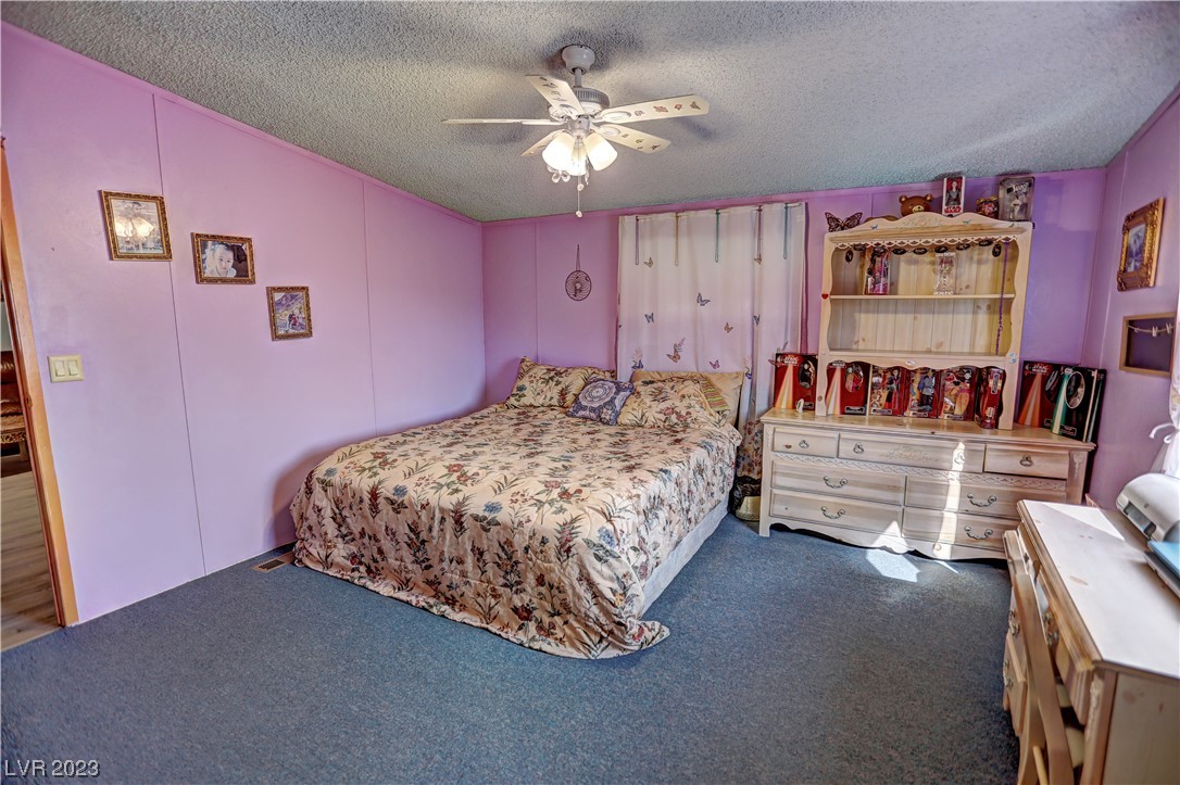 3981 West Dyer Road Pahrump, NV 89048 - Photo 28 of 48 Gallery Image 28