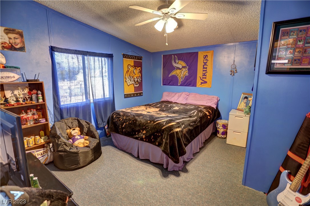 3981 West Dyer Road Pahrump, NV 89048 - Photo 30 of 48 Gallery Image 30
