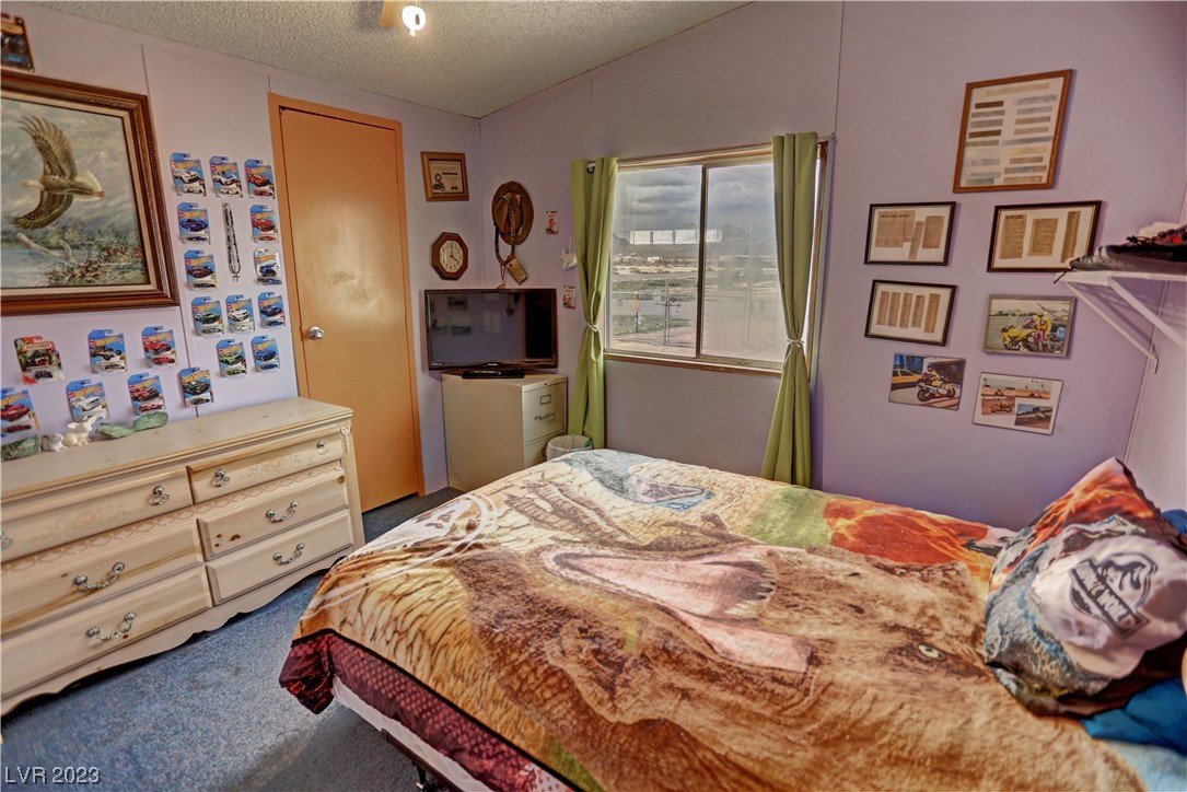 3981 West Dyer Road Pahrump, NV 89048 - Photo 31 of 48 Gallery Image 31
