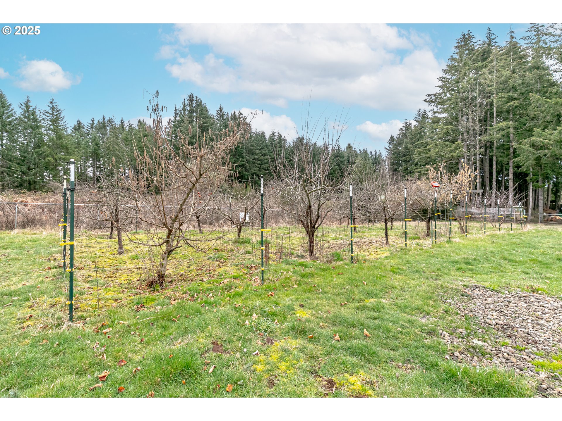 35538 Southeast Snuffin Road Estacada, OR 97023 - Photo 39 of 42