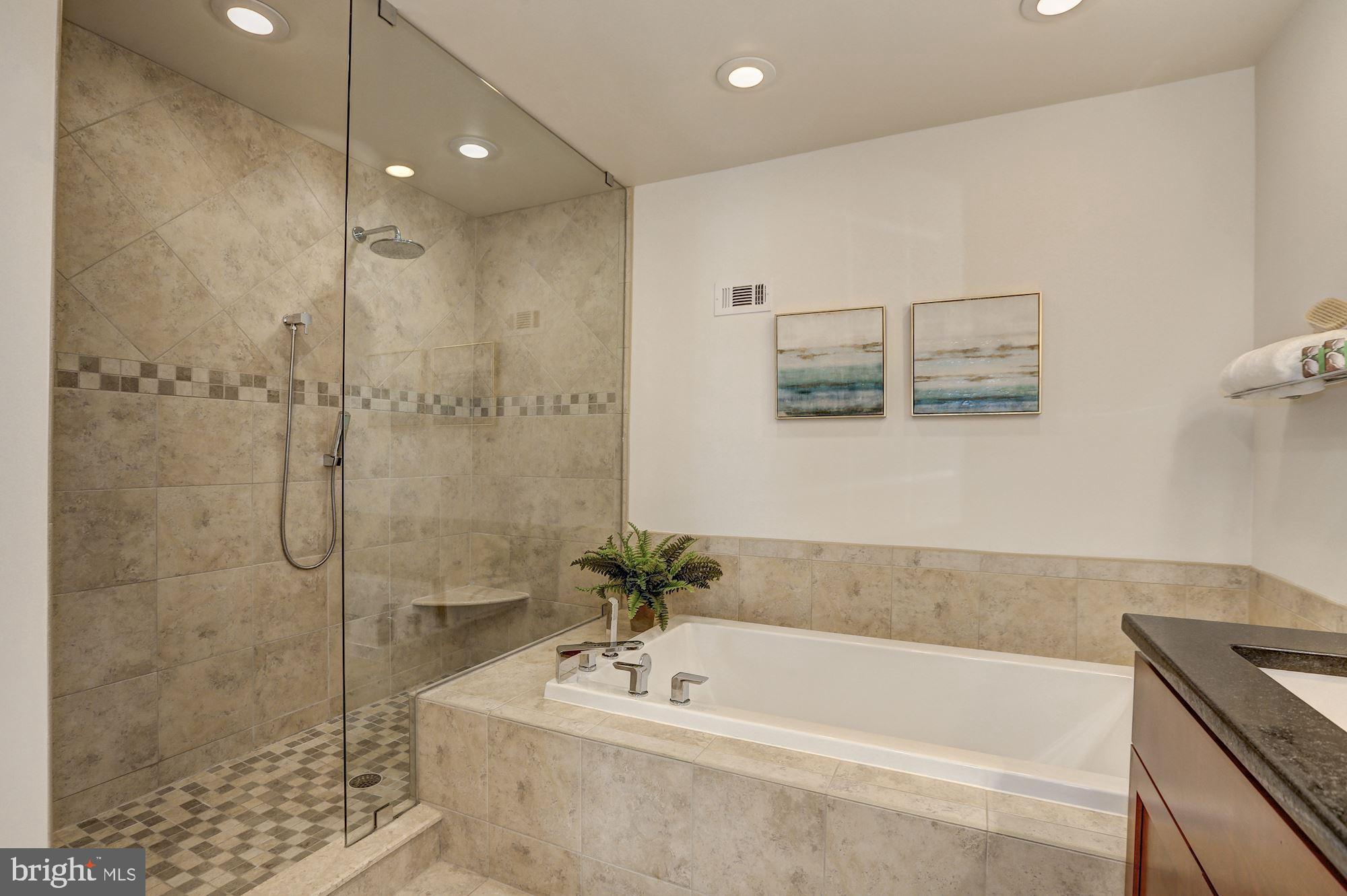 8316 Rising Ridge Way Bethesda, MD 20817 - Photo 26 of 45 Soaking Tub and Spa Like Shower