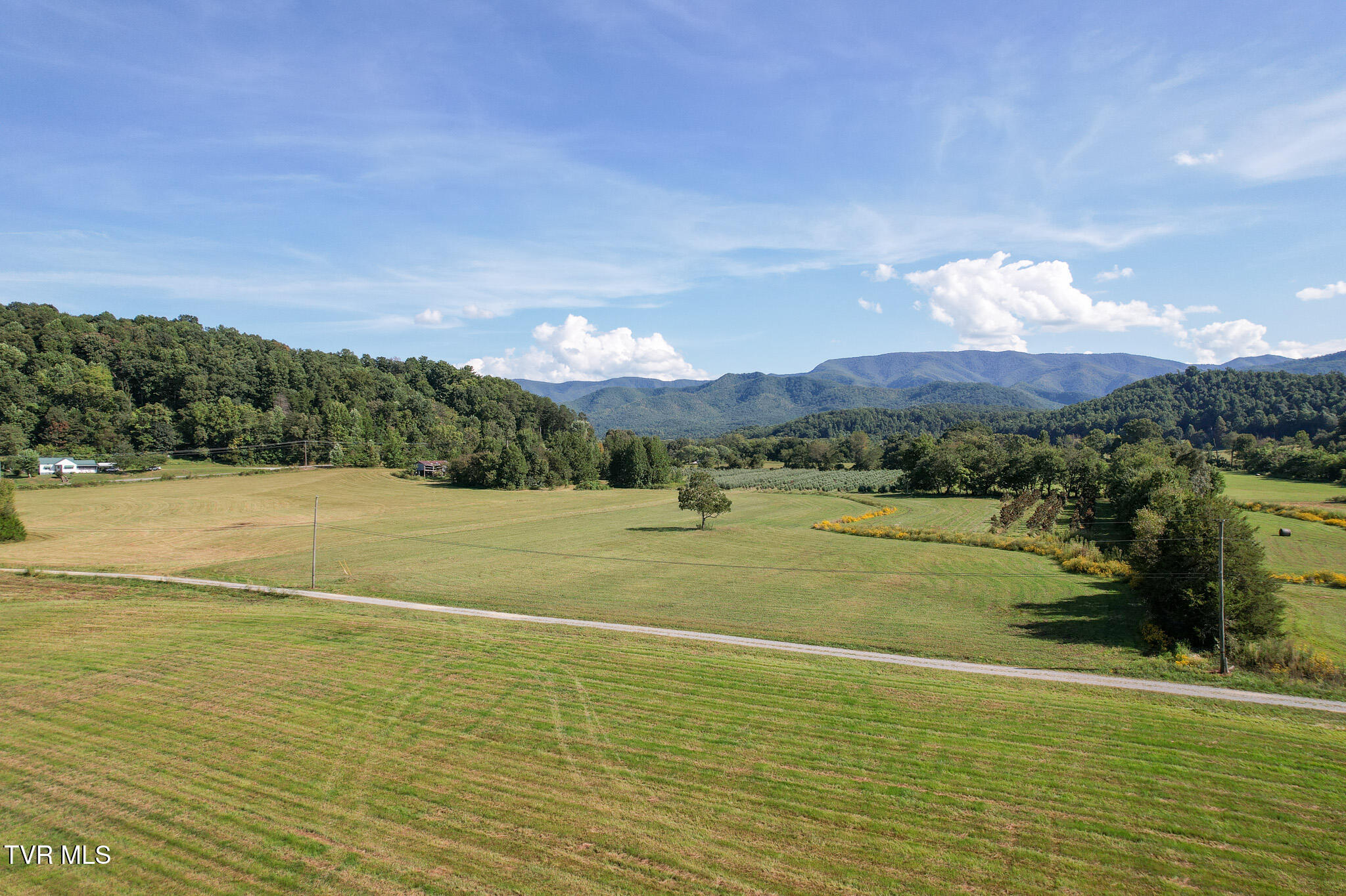 386 Fox Road Chuckey, TN 37641 - Photo 72 of 93 76