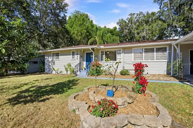a view of a backyard with garden and plants