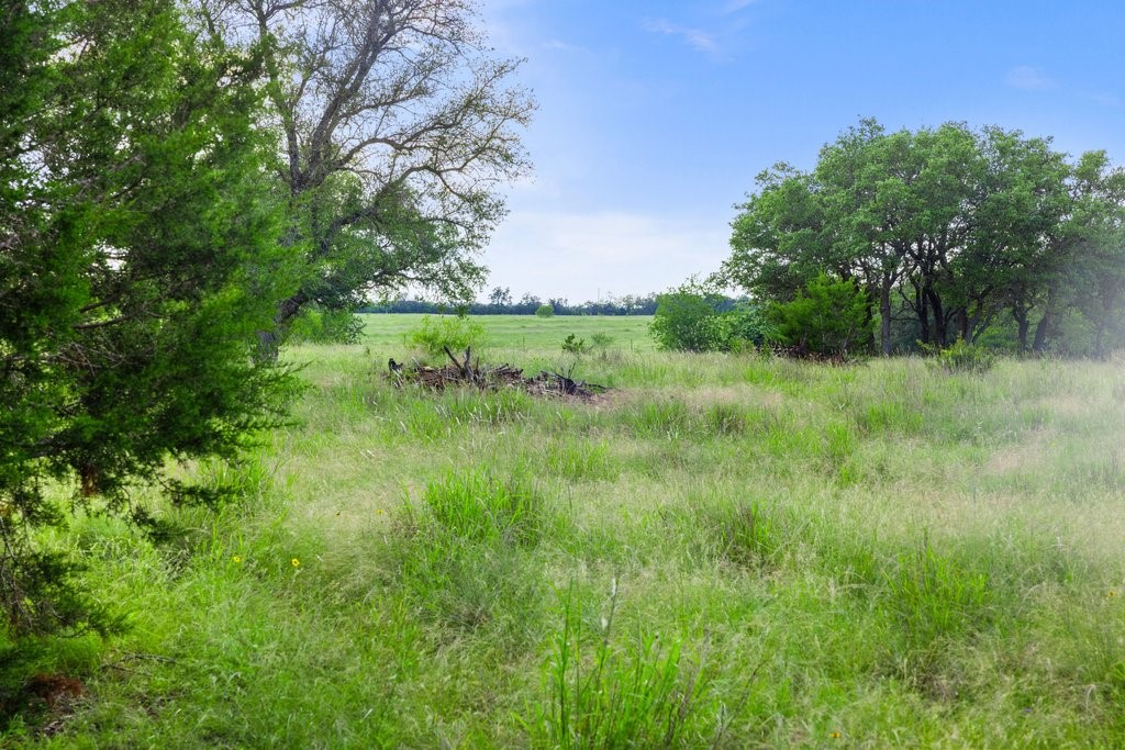 2101 Tower Road Georgetown, TX 78628 - Photo 31 of 38 a view of a lush green space