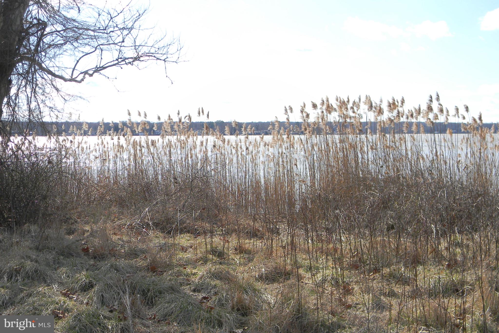 0 Oldfield Point Road Elkton, MD 21921 - Photo 2 of 8 Waterfront Area Perfect for Kayak/Canoe Launch