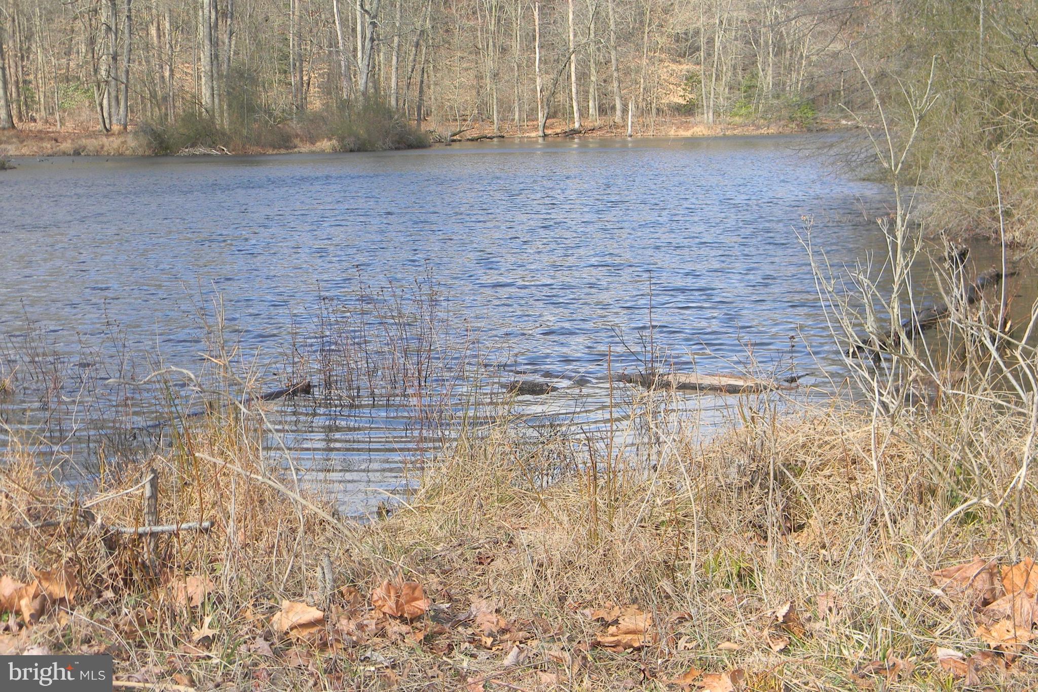 0 Oldfield Point Road Elkton, MD 21921 - Photo 3 of 8 Beautiful Large Pond