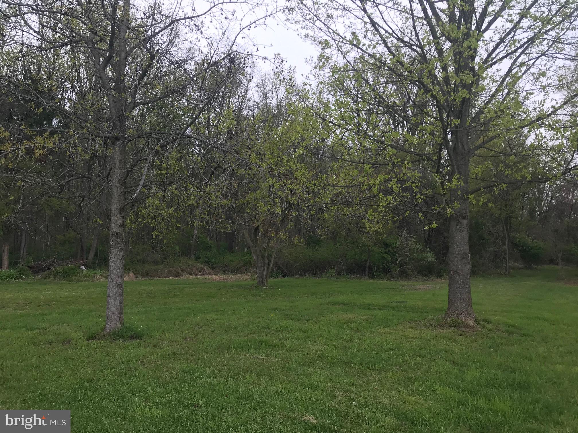 0 Oldfield Point Road Elkton, MD 21921 - Photo 4 of 8 Wooded Area, Imagine Your Dream Home Here!