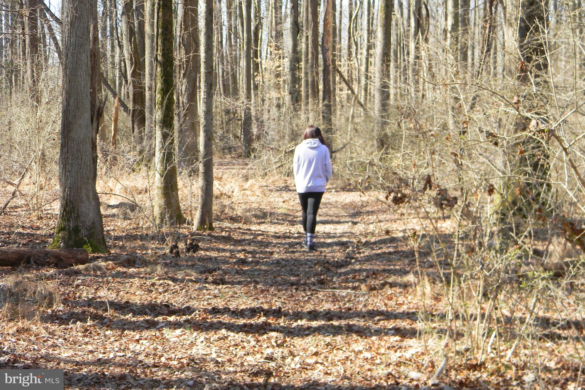 0 Oldfield Point Road Elkton, MD 21921 - Photo 5 of 8 Wooded Walking Trails
