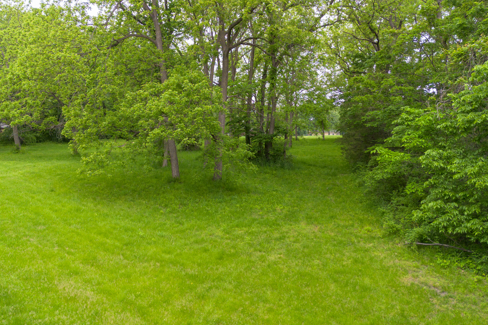698 North 2853rd Road LaSalle, IL 61301 - Photo 28 of 39 a big yard with lots of green space and plants