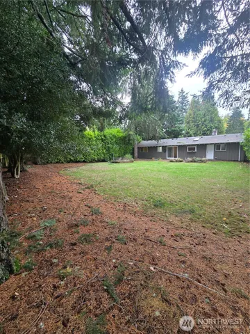a view of a yard with a tree