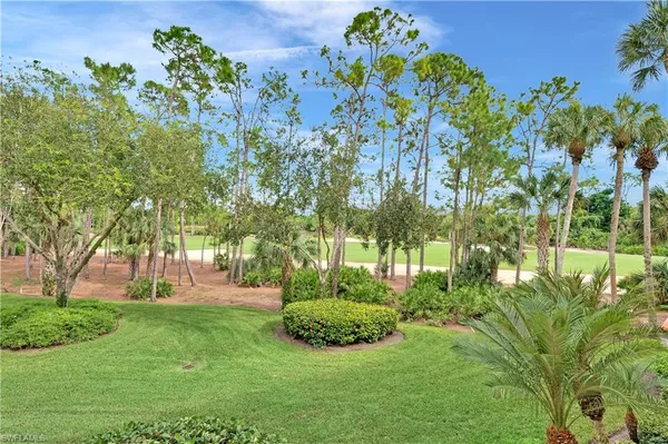 a view of a garden with trees
