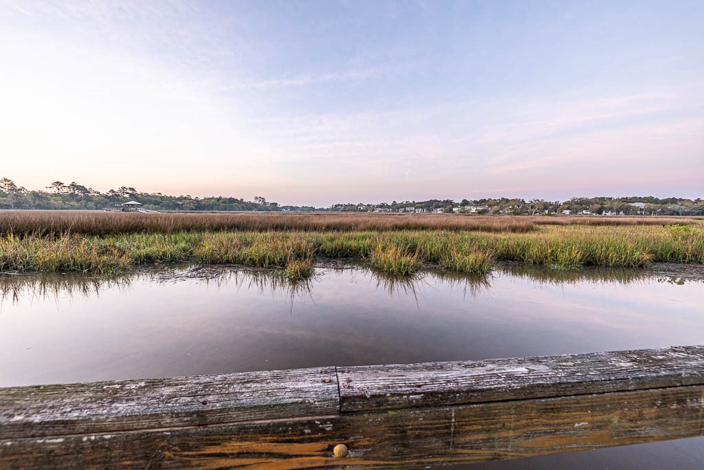 102 Dudley Lane St. Simons Island, GA 31522 - Photo 50 of 54