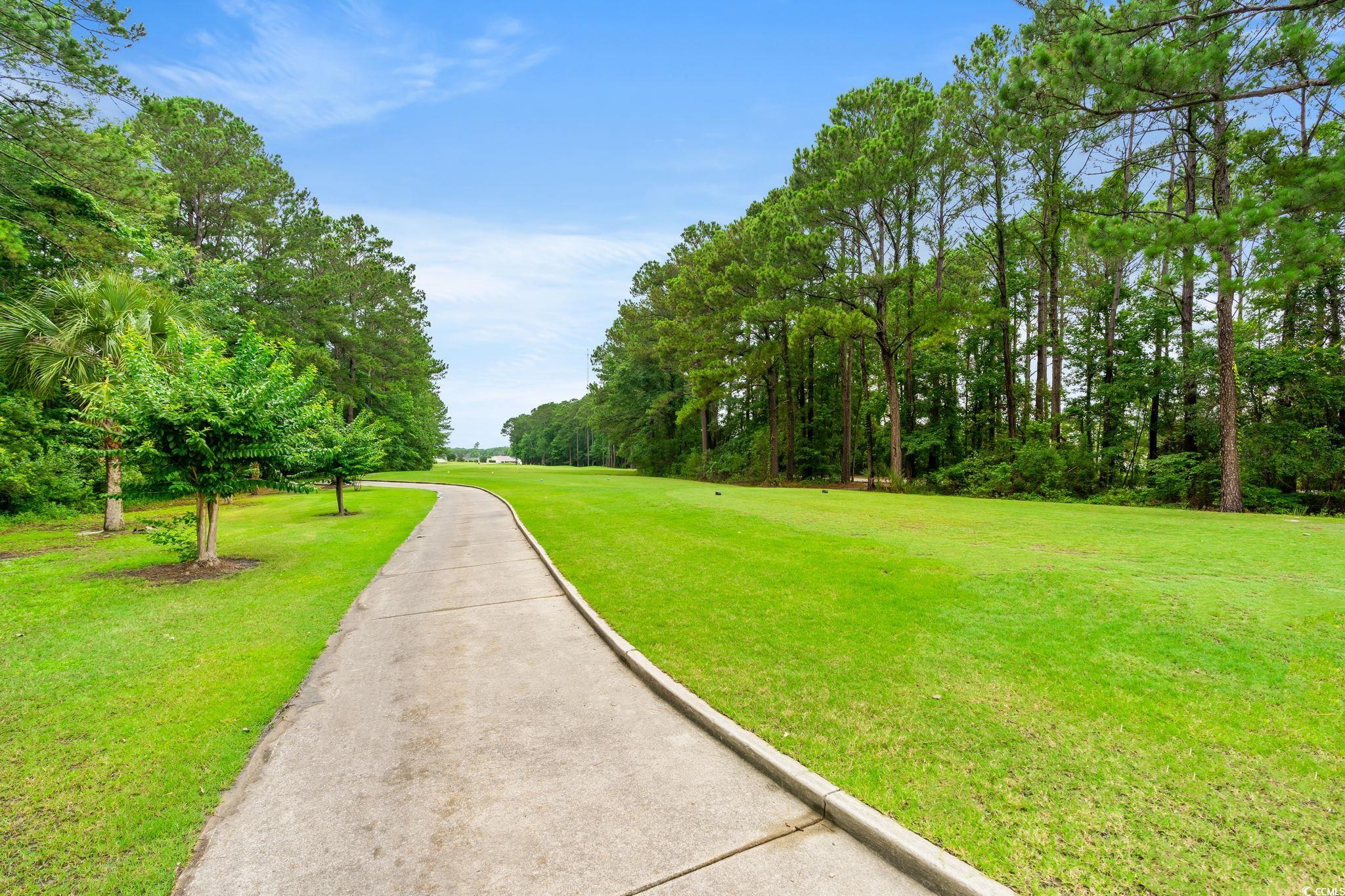 232 Marbella Drive Murrells Inlet, SC 29576 - Photo 31 of 40 View of street