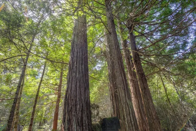 a view of an ocean and beach