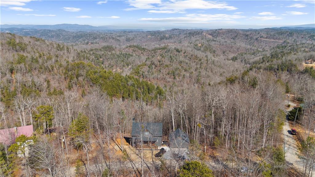 921 Aurora Lane Ranger, GA 30734 - Photo 42 of 46