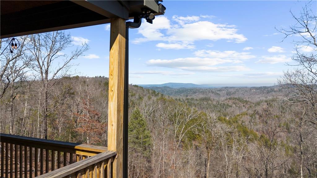 921 Aurora Lane Ranger, GA 30734 - Photo 45 of 46