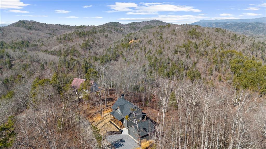 921 Aurora Lane Ranger, GA 30734 - Photo 7 of 46