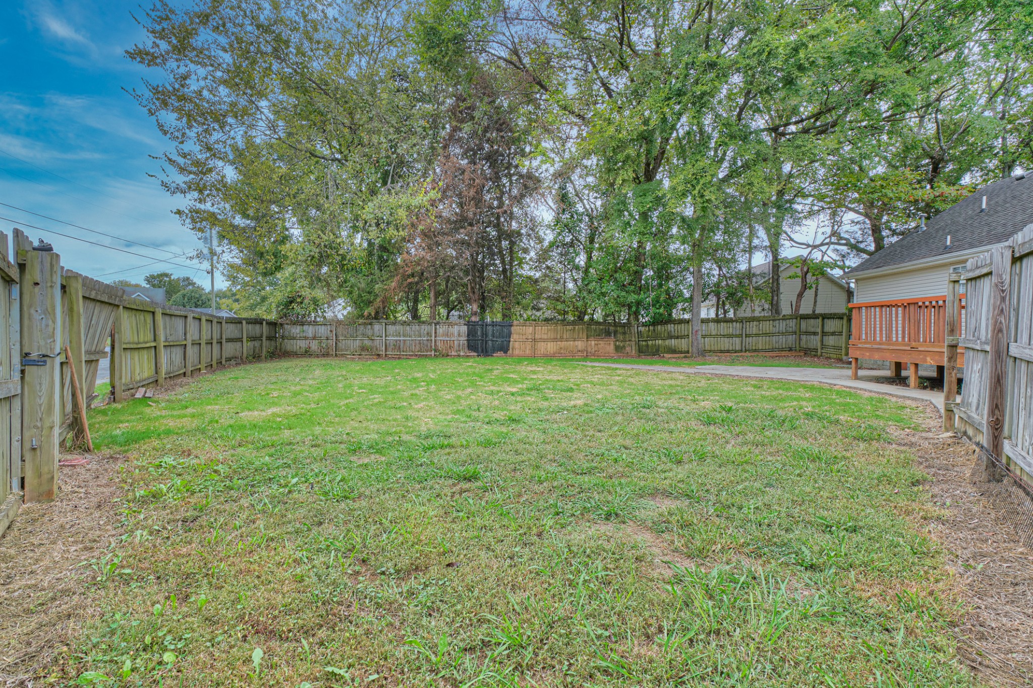 2426 Floyd Avenue Murfreesboro, TN 37127 - Photo 24 of 26 a view of a backyard with large trees
