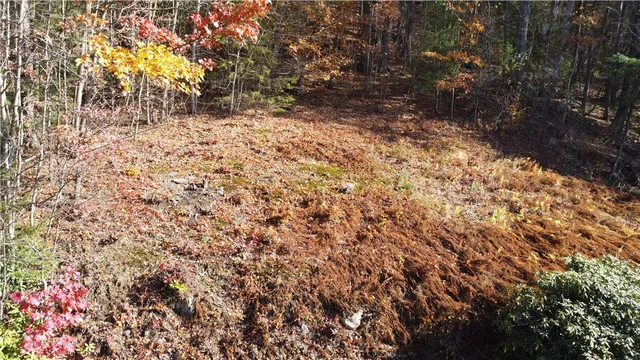 $159,000 | 84 Peas Eddy Road, Hancock, NY 13783