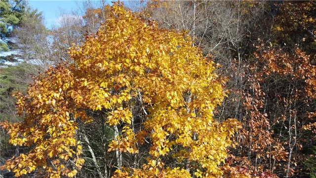 $159,000 | 84 Peas Eddy Road, Hancock, NY 13783