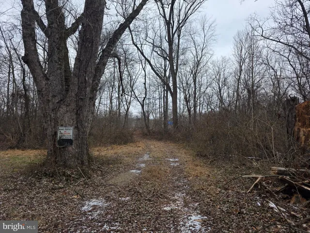 $650,000 | 6-7 & 11 Needham Lane, Berkeley Springs, WV 25411