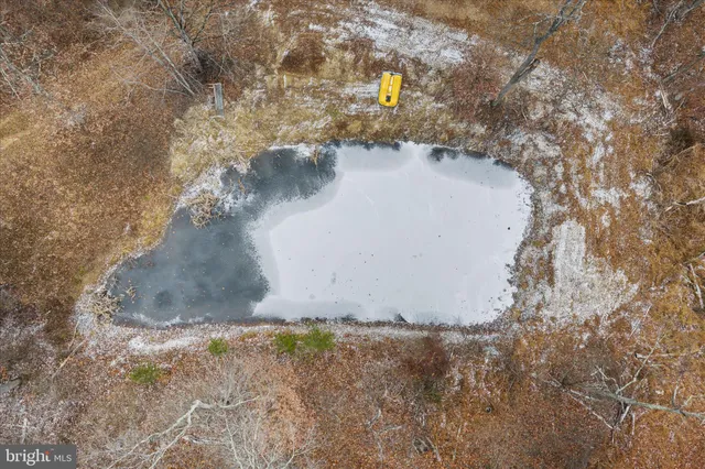 a view of a yard with trees