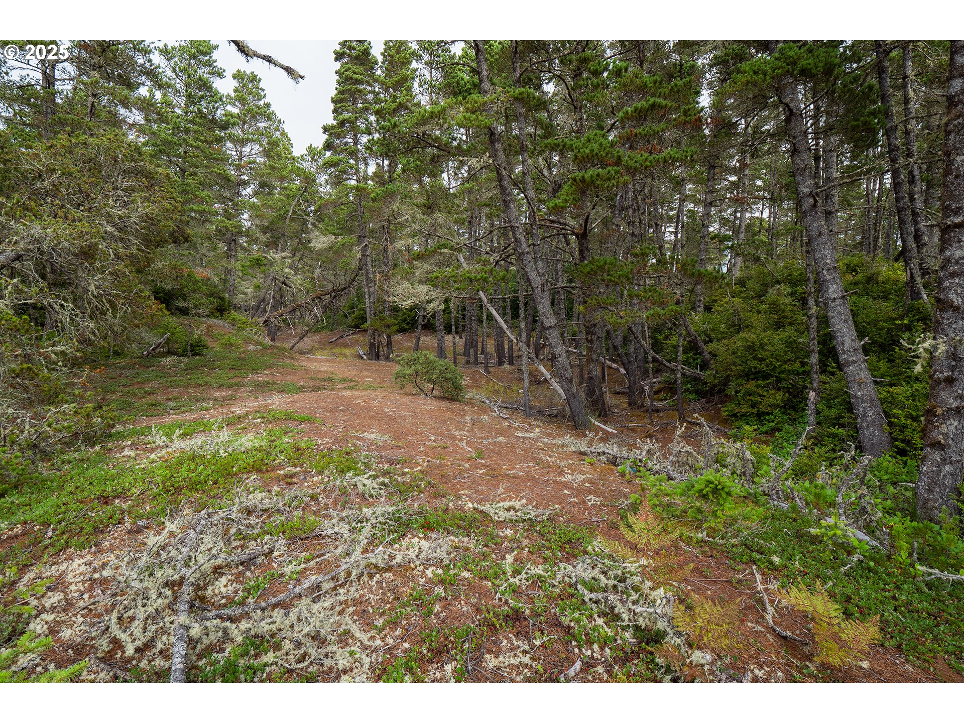 Lake Point Drive, Unit 34 Florence, OR 97439 - Photo 31 of 31