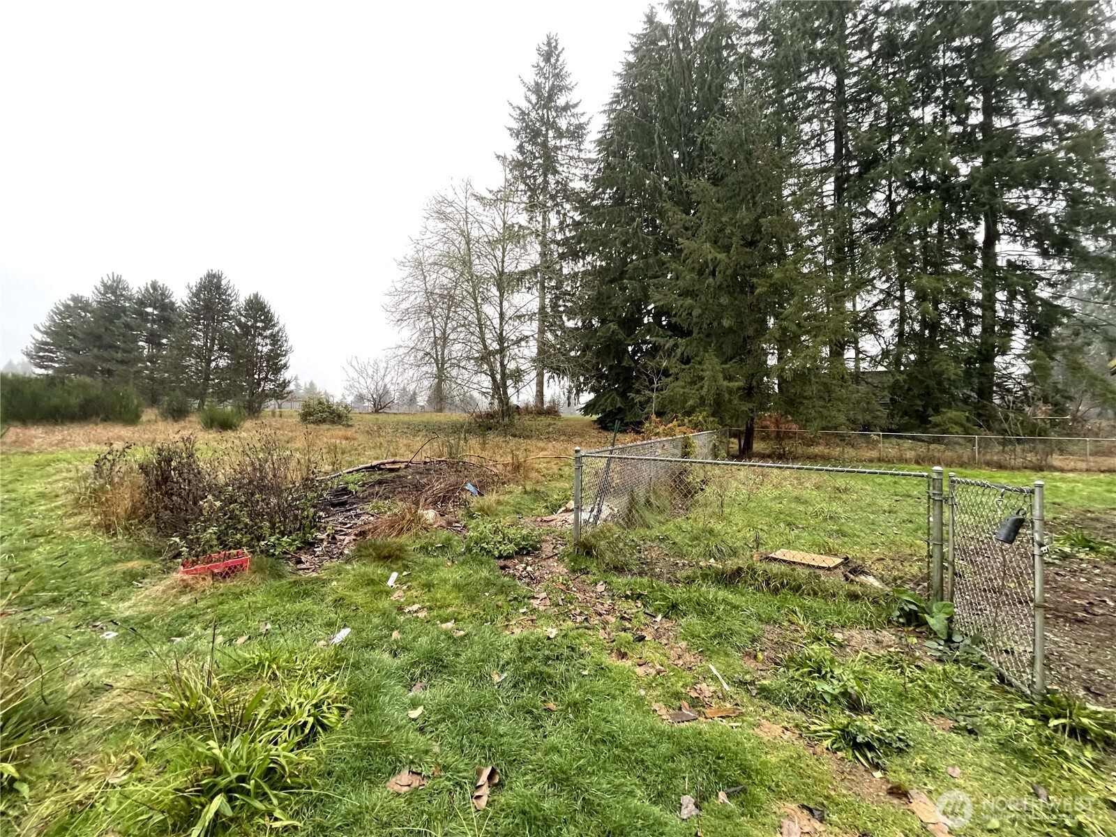 459 Cinebar Road, Unit B Cinebar, WA 98533 - Photo 2 of 5