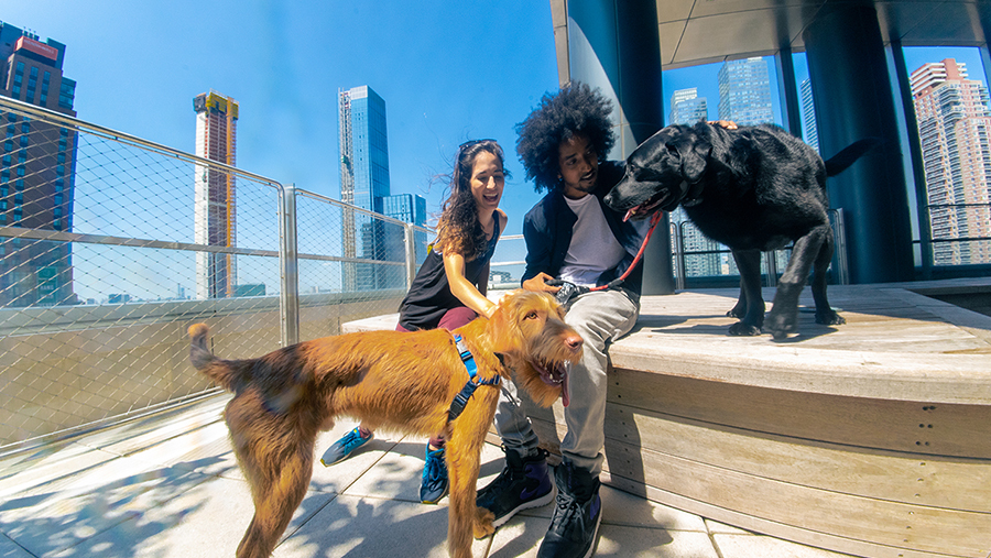 555 10th Avenue, Unit 46F Manhattan, NY 10018 - Photo 8 of 18