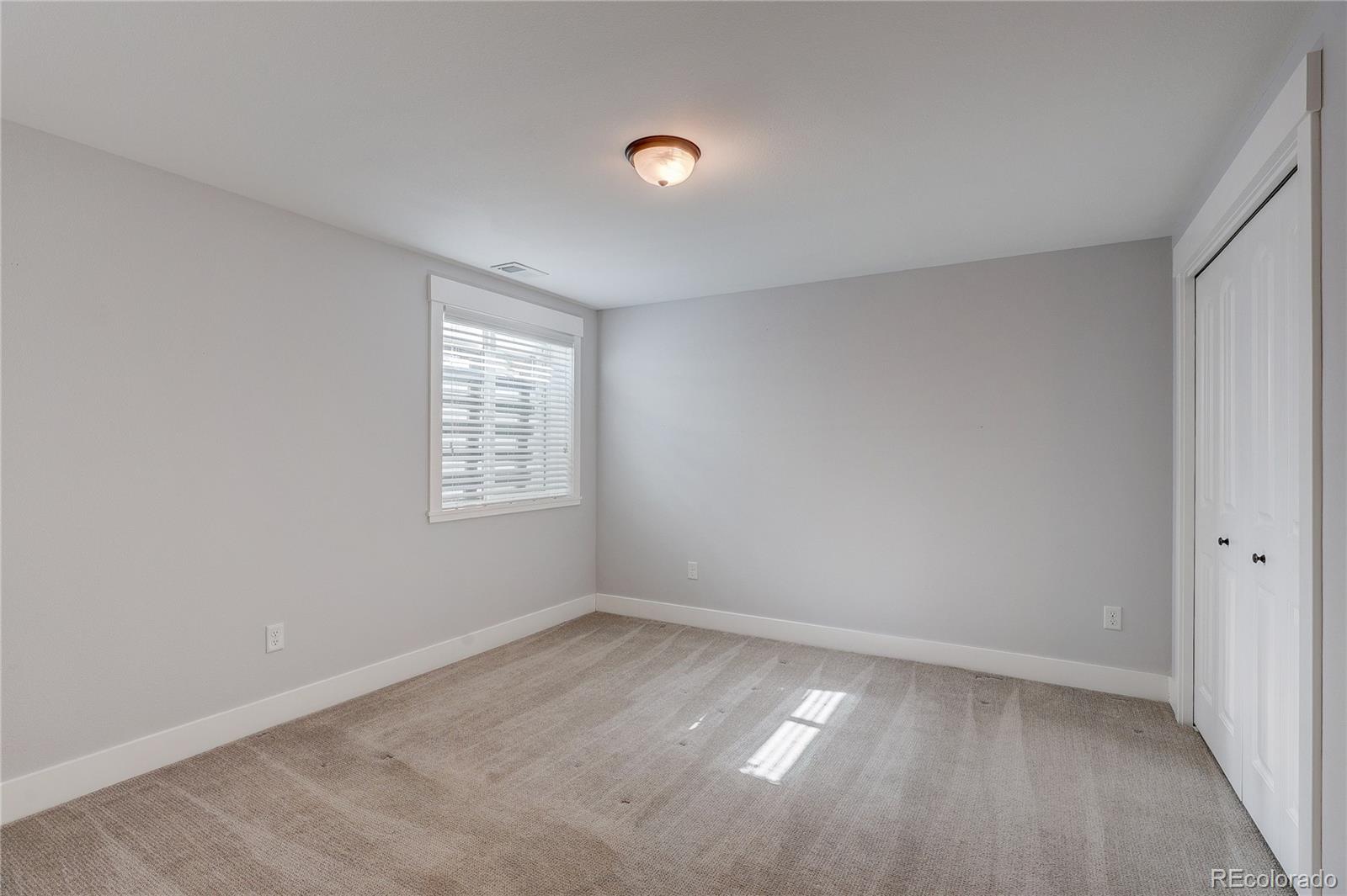 817 Shade Tree Drive Windsor, CO 80550 - Photo 39 of 49